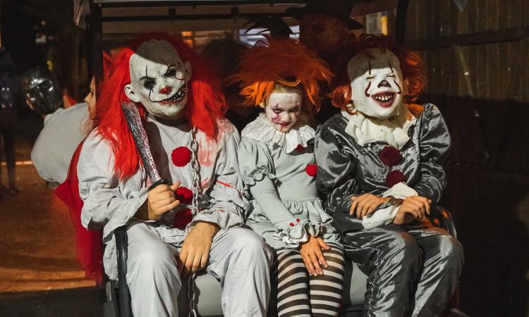 Halloween - 3 OCTUBRE al 11 NOVIEMBRE 2025 Parque Vacacional Magic Robin Hood Alfaz del Pi Halloween - 3 OCTUBRE al 11 NOVIEMBRE 2025 Parque Vacacional Magic Robin Hood Alfaz del Pi